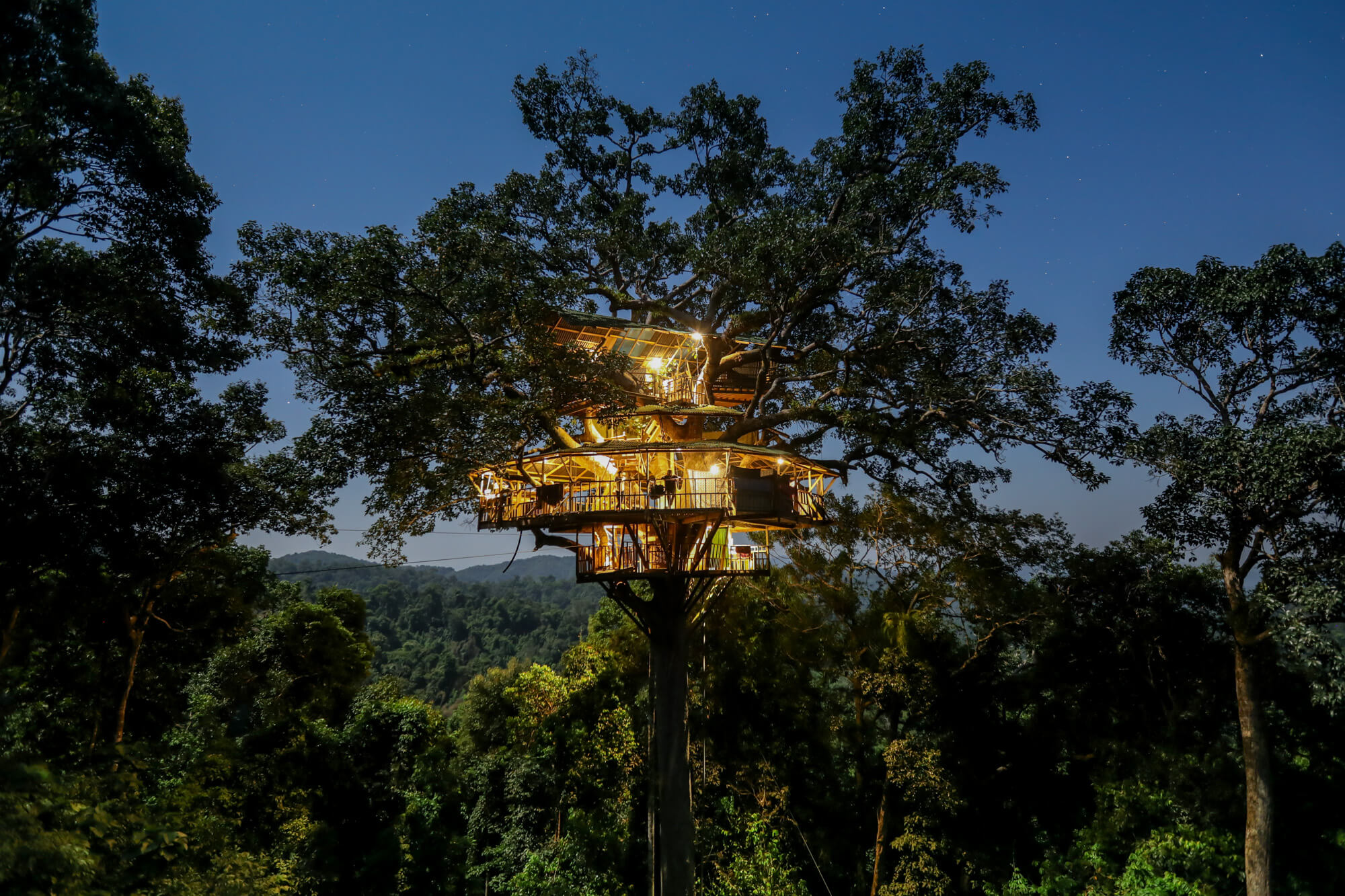 Gibbon Experience Treehouse