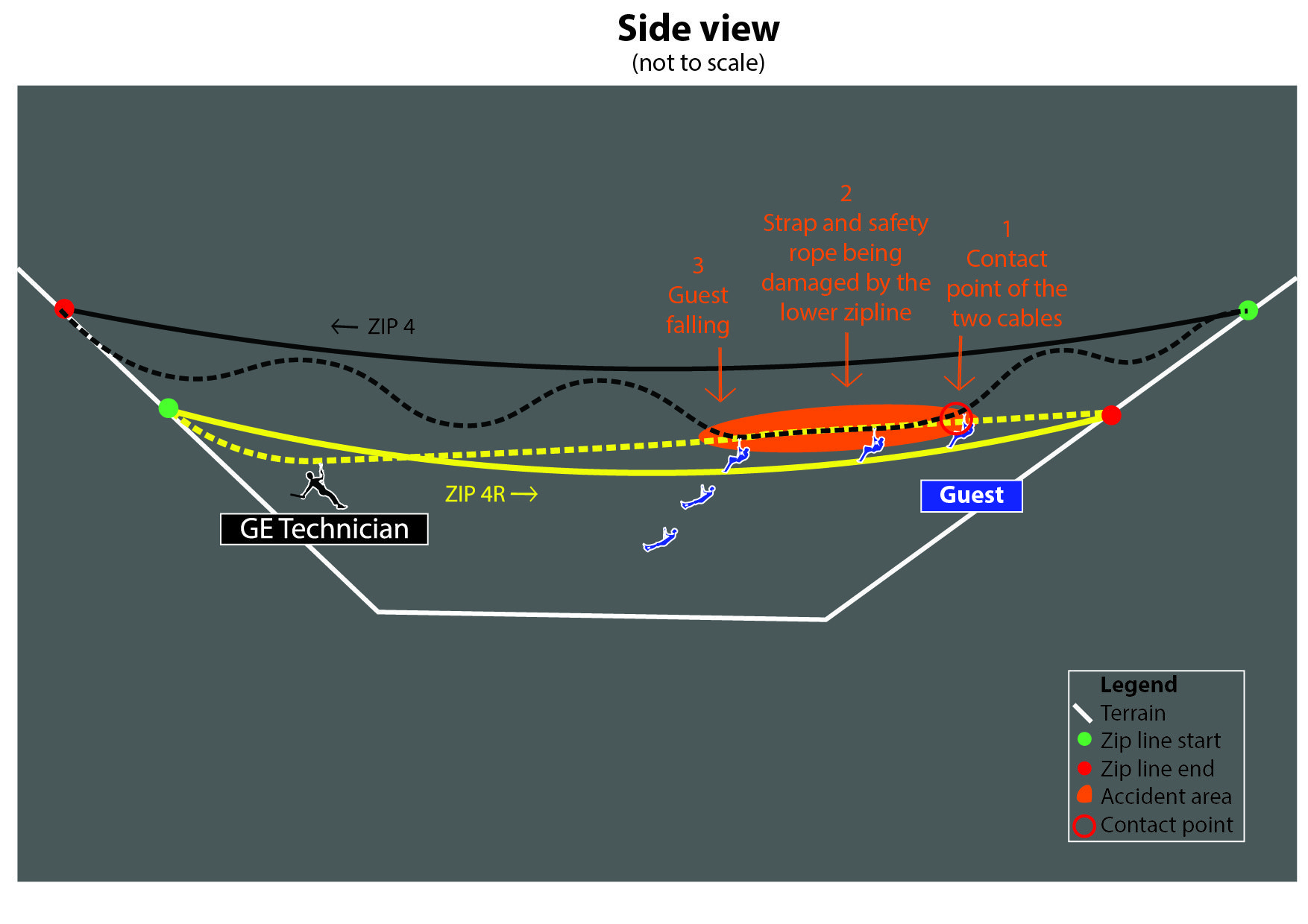 Accident Report Gibbon Experience