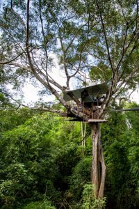 Honeymoon treehouse