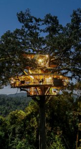 Treehouse 2 Gibbon Experience