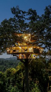 Treehouse 2